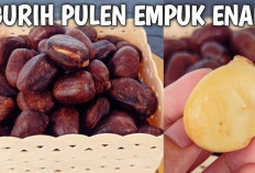 Dukung Sistem Imun dan Kesehatan Kulit dengan Biji  Kluwih
