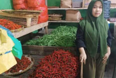 Harga Cabai Merah di OKU Tembus Rp100 Ribu Perkg
