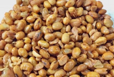 Kacang Kedelai: Sumber Gizi yang Kaya Manfaat