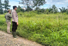 Dukung Ketahanan Pangan Nasional : Polsek Gunung Megang Kolaborasi dengan PTPN 7 !