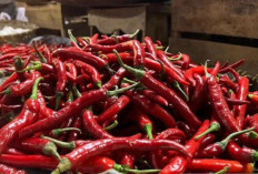 Harga Pangan 4 Oktober 2025: Cabai Rawit Rp45.002 dan Bawang Merah Rp37.308 per Kilogram !