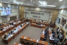 Hotman Paris Dampingi Keluarga ABK Saat RDPU di DPR