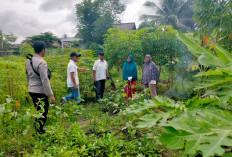Dukung Kebutuhan Pangan Lokal