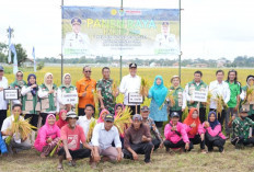 Bupati Edison Serahkan Bantuan Alsintan 