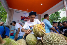 Kelompok Petani Durian di Pekalongan Makin Berkembang Berkat Pemberdayaan BRI