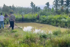 Dua Bocah di Lubuklinggau Tewas Tenggelam di Kolam Pembibitan Sawit 
