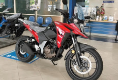 Suzuki Catat Motor Terlaris 2025: V-Strom 250SX dan Burgman Street 125EX Paling Diminati !