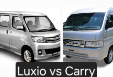 Carry Minivan atau Luxio? Ini Perbandingan Lengkap untuk Bantu Anda Memilih