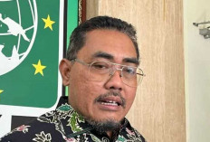 PKB: Gugatan PAW ke MK Tak Tepat   