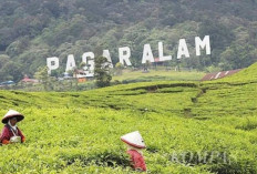 Pastikan Ekonomi Warga Tetap Berjalan, Deru Jembatani Polemik Penutupan Wisata Gunung Dempo