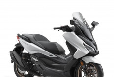 Honda Forza 2025 Resmi Meluncur: Skutik Bongsor Ini Makin Canggih dan Stylish !