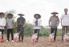 Manfaatkan Lahan Tidur 16,5 Hektare Lahan Agar Lebih Produktif