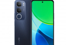 vivo Y29 Resmi Meluncur: Smartphone Tangguh dengan Baterai Jumbo dan Layar 120Hz