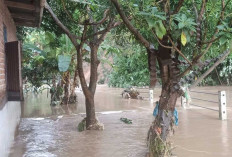 BNPB Minta Warga Lubuklinggau Sumatera Selatan Waspada Potensi Banjir Susulan !