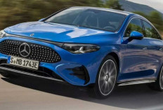 Di Tengah Dominasi Merek Lokal, Mercedes-Benz Kuasai Pasar Mobil Impor Jepang
