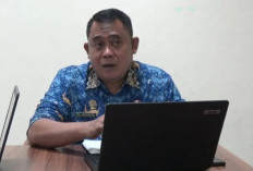 Singapura Dominasi Investasi Asing Sumsel