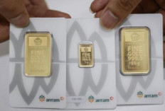 Update ! Harga Emas Antam 1 November 2024 :  Anjlok Rp20.000 Menjadi Rp1.547 Juta per Gram 