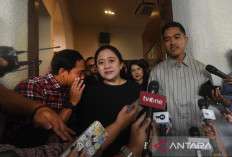 Pertarungan Antara PDIP dan Kaesang di Jateng Sengit