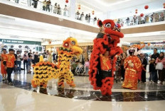 Sambut Imlek, Gelar Pertunjukan Narongsai 