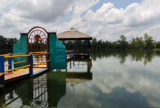 Suasananya Tenang: Danau Bekri Lampung Cocok untuk Kalian Melepas Penat Sehari-hari!