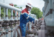 Kabar Baik Migas Nasional, Pertamina EP Adera Field Temukan Sumur Minyak Baru Berpotensi Besar