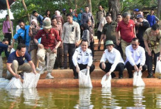 Atasi Stunting, Pj Gubernur Sumsel Tebar Bibit Ikan di Kolam Wisata Rantau Kampai