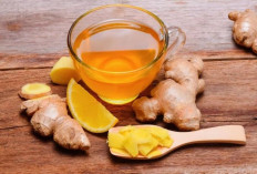 Jamu Bermanfaat Sebagai Penyeimbang Sistem Tubuh