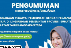 Pemprov Sumsel Buka 5.953 Formasi PPPK 2024 : Peluang Emas untuk Guru, Tenaga Kesehatan, dan Teknis !