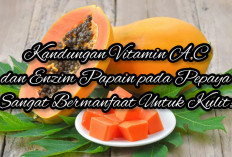Manfaat Besar Vitamin A, C, dan Enzim Papain untuk Kulit: Tips Maksimal Penggunaanya Untuk Kesehatan Kulit!
