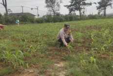 Dorong Warga Tingkatkan Ekonomi Lewat Ketahanan Pangan