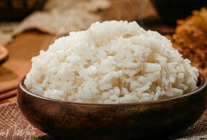 Mengenal Ragam Jenis Nasi di Indonesia, Warisan Kuliner Nusantara yang Kaya Rasa