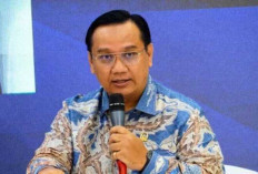 Bisa Benahi Tata Kelola Industri Sawit