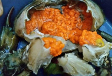 Telur Kepiting Dapat Meningkatkan Kecerdasan   Otak dan Cegah Pembesaran Prostat 