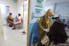 Dinkes Sumsel Imbau Masyarakat Pagar Alam Cek Kesehatan Setelah Konsumsi Kucing