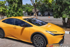 Toyota Menganggap Pasar Sedan Kurang Agresif : Apakah Prius Hybrid Terdampak ?