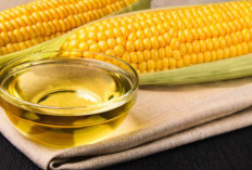 Atasi Rematik dan Radang Sendi dengan Minyak Jagung