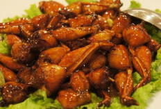 Cegah Asma dan Bronkitis dengan Daging Kodok