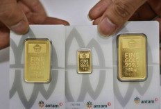 Update ! Harga Emas Antam 9 November 2024 : Turun Rp10.000 Jadi Rp1,517 Juta per Gram  