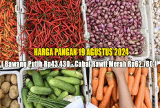 Harga Pangan 19 Agustus 2024 : Bawang Putih Mencapai Rp43.430 per Kg, Cabai Rawit Merah Rp62.780 per Kg !