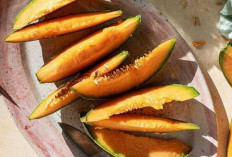 Melon Buah Segar dengan Sejuta Manfaat untuk Kesehatan