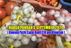  Harga Pangan 3 September 2024 : Bawang Putih Capai Rp40.310 per Kilogram !