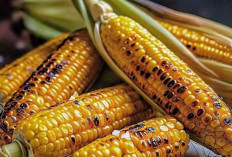 Jagung Panggang : Cita Rasa Tradisional yang Kembali Menyala