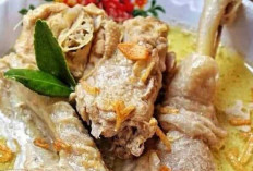Menikmati Kelezatan Tradisi Kuliner Indonesia : Ayam Opor yang Menggoda Selera