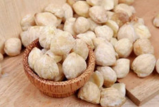 Kemiri Simungil, Rempah Andalan yang Sering Dicari di Dapur