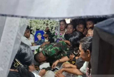 Nyatakan Siap Bawa Kasus Prada Lucky ke Sidang Dewan   