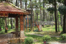 Apresiasi Pemkot Palembang Benahi Wisata Punti Kayu