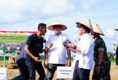 nasional untuk memperluas sawah baru sebagai upaya memperkuat ketahanan pangan daerah hingga nasional.