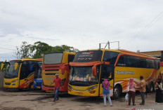 Bus AKAP Siapkan Armada Tambahan Arus Balik Lebaran Idul Fitri 1447 H