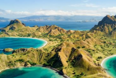 Menjelajahi Keindahan Alam Pulau Padar: Petualangan Trekking dan Pemandangan Matahari Terbenam yang Memukau