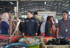 Jaga Stabilitas Harga, Pemkab Muara Enim Subsidi 500 Kg Ikan 